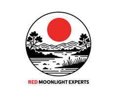 Intocmire documentatii licitatii publice SEAP