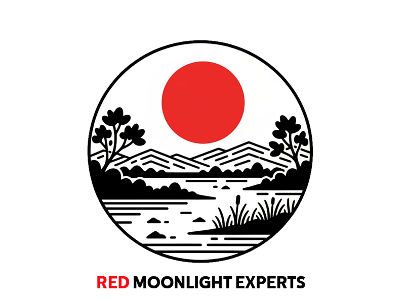 Intocmire documentatii licitatii publice SEAP.