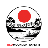 Intocmire documentatii licitatii publice SEAP